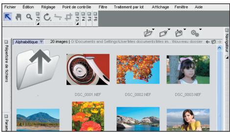 NIKON CAPTURE NX - LIGNES - 1