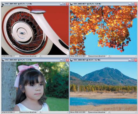 NIKON CAPTURE NX - Mosaicique - 1