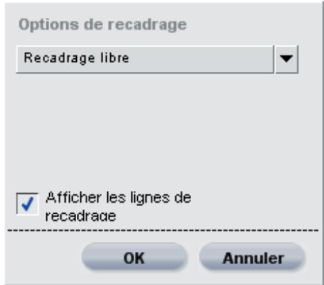 NIKON CAPTURE NX - Boîte de dialogue des options de recadrage - 1