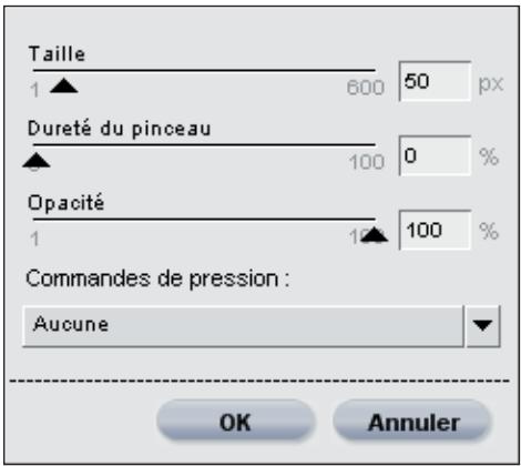 NIKON CAPTURE NX - Boîte de dialogue des options du pinceau - 1