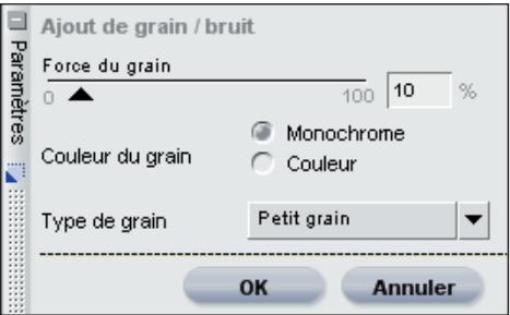 NIKON CAPTURE NX - Ajout de grain/bruit… - 1