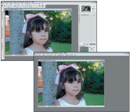 NIKON CAPTURE NX - Masquer les palettes - 1