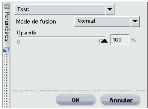 NIKON CAPTURE NX - Mélangeur d'opacité - 1
