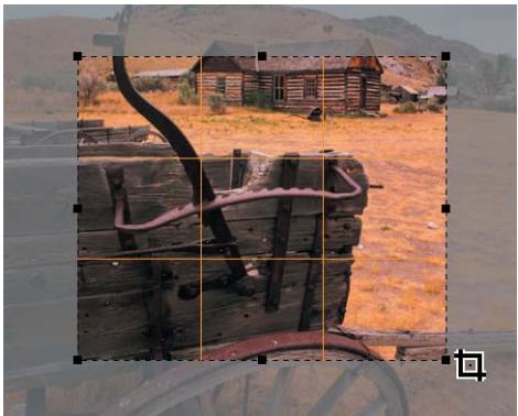 NIKON CAPTURE NX - Afficher les lignes de recadrage - 1