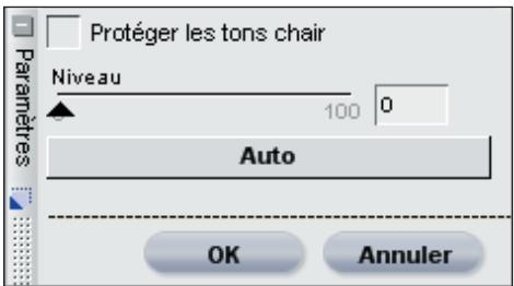 NIKON CAPTURE NX - AMPLIFCATEUR DE SATURATION - 1