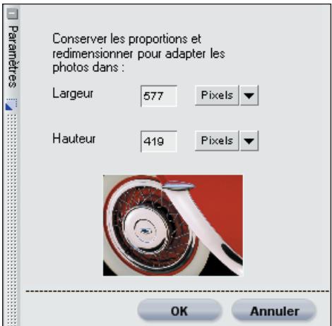 NIKON CAPTURE NX - Adapter la photo… - 1