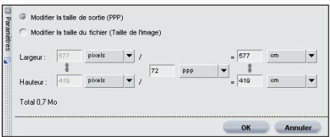 NIKON CAPTURE NX - Taille / Résolution - 1