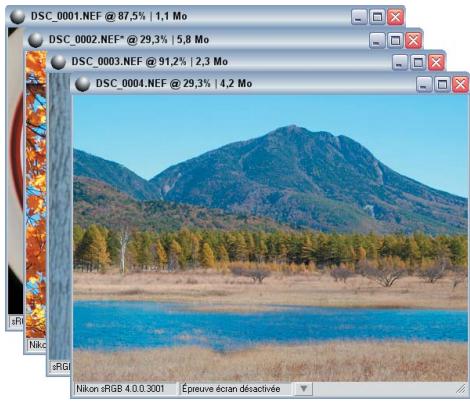 NIKON CAPTURE NX - Cascade - 1