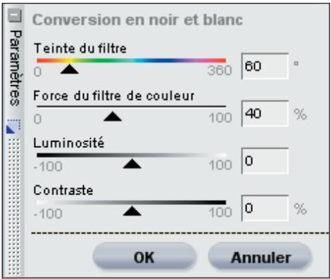 NIKON CAPTURE NX - Conversion en noir et blanc - 1