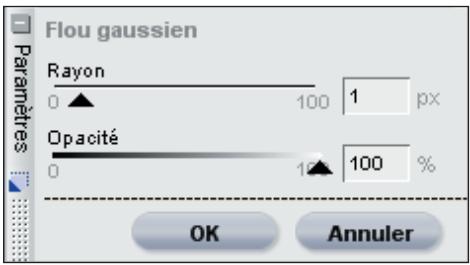 NIKON CAPTURE NX - Flou gaussian - 1