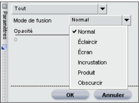 NIKON CAPTURE NX - MODE DE FUSION - 1