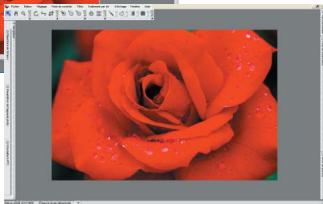 NIKON CAPTURE NX - Raccourci : - 2