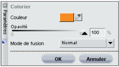 NIKON CAPTURE NX - Colorier... - 1