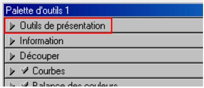 NIKON SCAN - Outils de présentation - 1