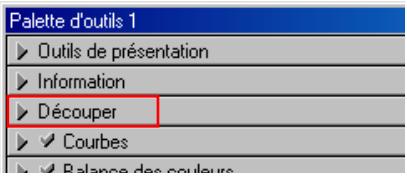 NIKON SCAN - Découper - 1