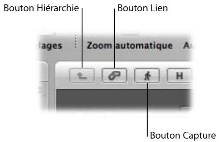 APPLE LOGIC EXPRESS 8 - Boutons capture, lien et hiérarchie - 1
