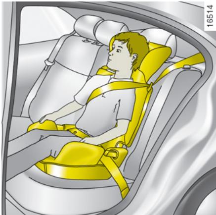 RENAULT SCENIC II - Catégorie 1 (de 9 à 18 kg) - 2