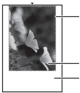 SHARP MX-M202D - Bouton "ajustement automatique de la zone à numériser - 1