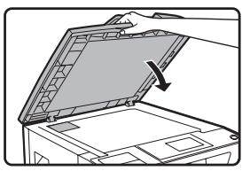 SHARP MX-M202D - COPIER Une CARTE d'identite - 2
