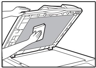 SHARP MX-M202D - Nettoyage de la VITRE d'exposition et du couvercle/spf/rspf - 2