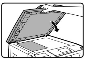 SHARP MX-M202D - Copie à partir de la vitre d'exposition - 1