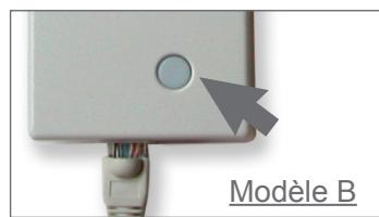 FREE BOX CRYSTAL - Association - 3