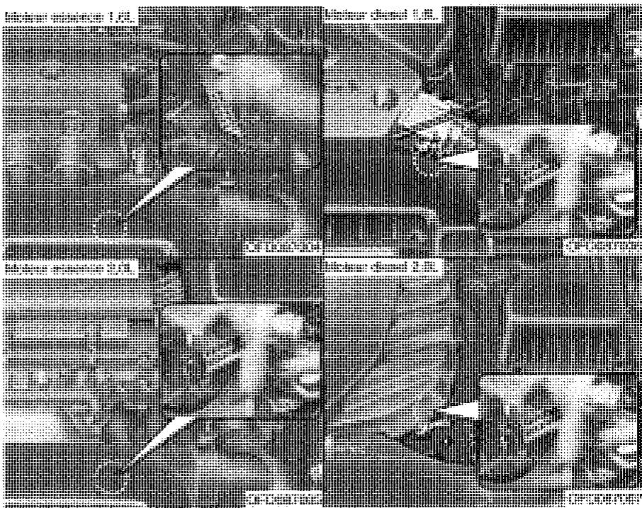 HYUNDAI I30 - Étiquette de pression et specifications des PNEUS - 2