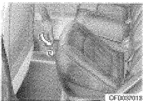 HYUNDAI I30 - Avertissement - 3