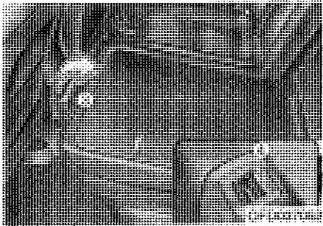 HYUNDAI I30 - Avertissement - 4