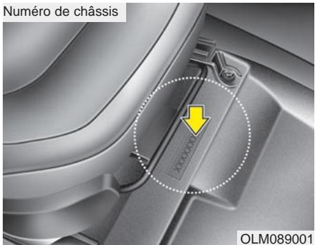 HYUNDAI IX35 - Numéro d'identification du véhicule (VIN) - 1