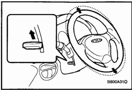 HYUNDAI SANTA-FE - Accoudoir central (si installé) - 2