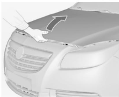 OPEL INSIGNIA - Ouverture - 2