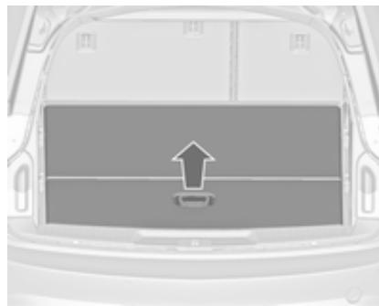 OPEL INSIGNIA - Rangement des filets de sécurité et du cache-bagages - 1