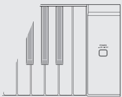 CASIO AP-200 - Remarque - 2