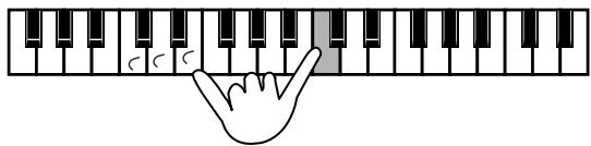 (FR-3sb/FR-3b) Note jouée par le son orchestral Notes jouées par l'accordéon