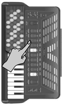 ROLAND FR-3SB - Lanière de basse - 5