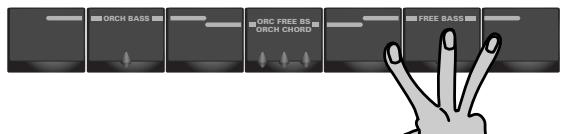 ORCH BASS ORIC FREE BS ORCH CHORD FREE BASS