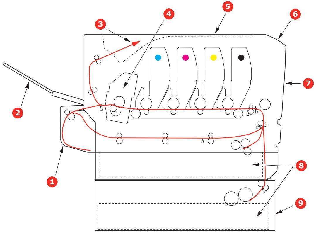 OKI C712DN,  C712N - Principaux éléments de l'imprimante et chemins du PAPIER - 1