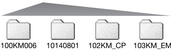KONICA MINOLTA DIMAGE Z3 - Organisation des dossiers de la carte mémoire - 2