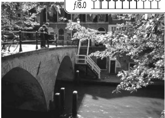 KONICA MINOLTA DIMAGE Z3 - PETIT GUIDE d'introduction à la photographie - 4