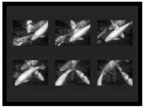KONICA MINOLTA DIMAGE Z3 - Notes sur l'entraînement progressif - 1