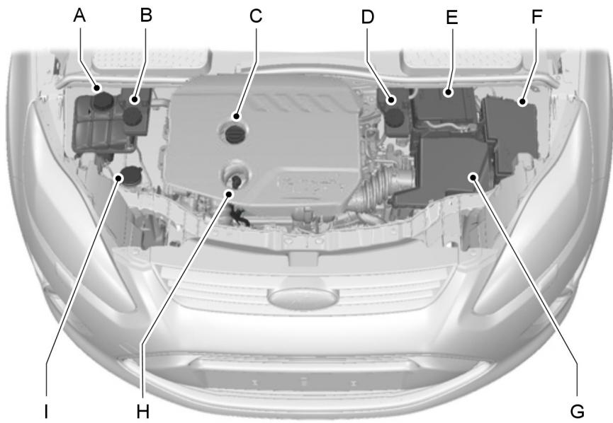 FORD C-MAX 2012 - VUE d'ensemble sous le capot-1.6L Duratorq-TDCI (DV) DIESEL - 1