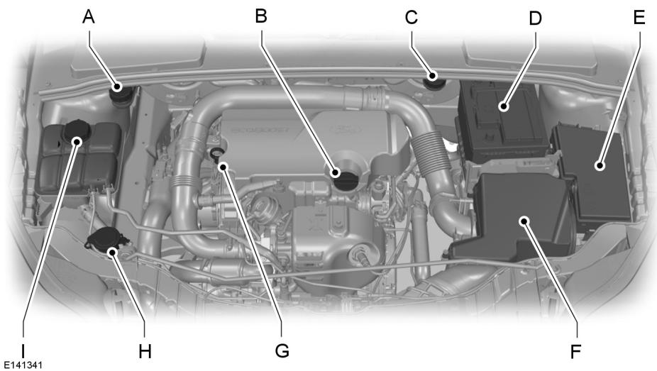 FORD C-MAX 2012 - VUE d'ensemble sous le CAPOT - 1.0l ecoboost - 1