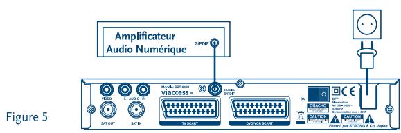 STRONG SRT 6420 - Terminalsatellite NUMÉRIQUESRT6420 - 6