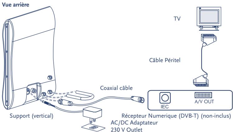 STRONG SRT ANT 12 - Branchement de l'antenne - 1