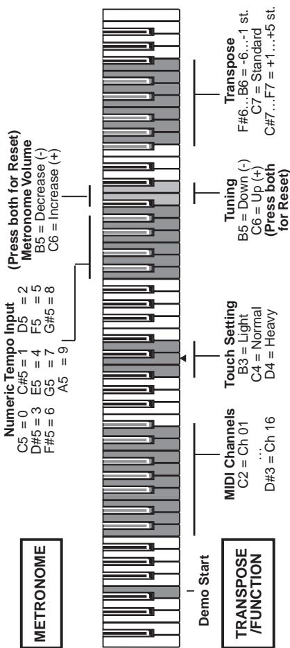KORG C-320 - Polyphonie - 1