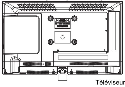 HAIER LE22G690CF - Les pièces nécessaires pour installer le pied (fournies) - 1