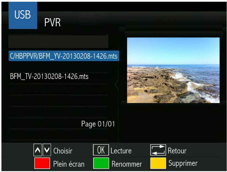 OPTEX STARCOM 9947-HD - Le sous MENU USB (pvr/unité externe) - 1