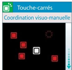 NINTENDO DS FLASH_FOCUS - Introduction à l'entrajinement de FOND - 5