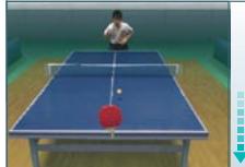 NINTENDO DS FLASH_FOCUS - Tennis de table - 1